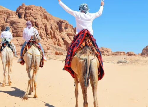 Sharm: Water Sports Adventure Day with Hotel Transfer