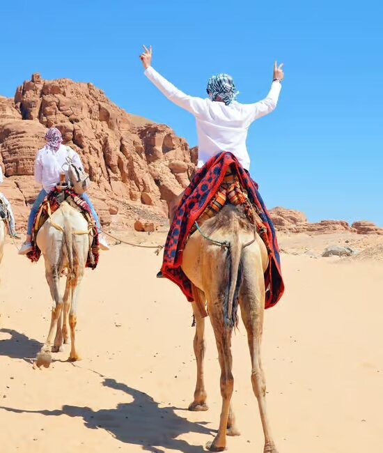 Sharm: Water Sports Adventure Day with Hotel Transfer