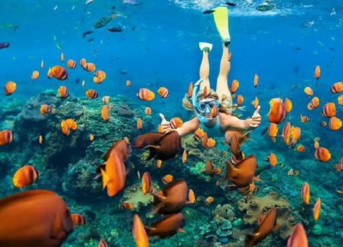 Sharm El Sheikh: Ras Mohammed Snorkeling Boat Tour