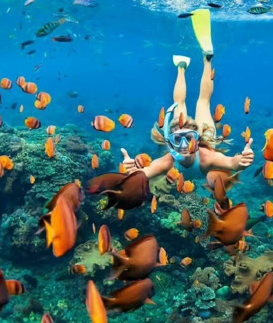 Sharm El Sheikh: Ras Mohammed Snorkeling Boat Tour