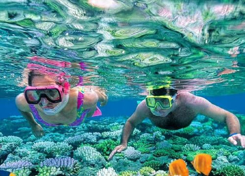 From Sharm El Sheikh: Snorkeling Tour to Ras Mohamed by Bus