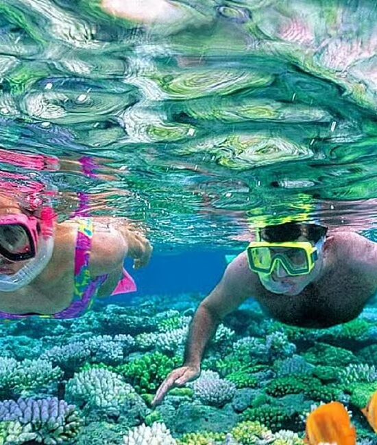 From Sharm El Sheikh: Snorkeling Tour to Ras Mohamed by Bus