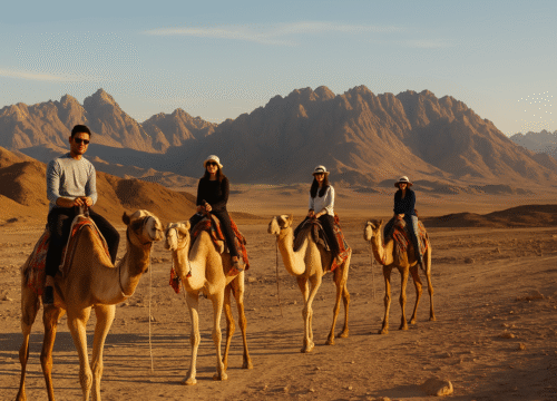 Top Sinai Excursions in Sharm El Sheikh: Unforgettable Adventures await you here