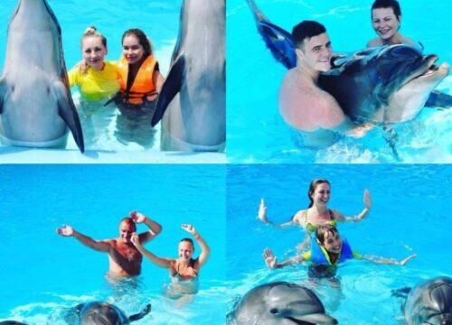Dolphina Dolphinarium – Sharm El Sheikh