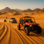 Desert Safari Experiences in Sharm El Sheikh