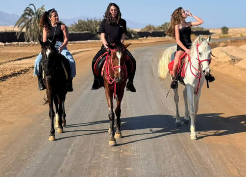 Sharm El Sheikh: Desert and Sea Horse Riding with Transfers