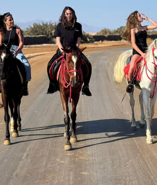 Sharm El Sheikh: Desert and Sea Horse Riding with Transfers